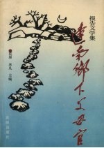 辽南乡下父母官  报告文学集