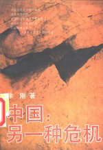 中国：另一种危机