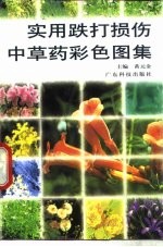 实用跌打损伤<em>中<em>草药</em></em>彩色图集