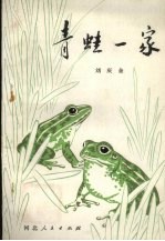 <em>青蛙</em>一家