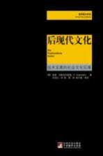 后现代文化  技术发展的社会文化后果