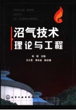 沼气<em>技术</em>理论与工程