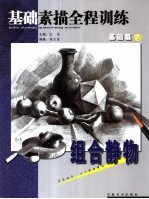 基础素描全程训练  基础篇  下  组合静物