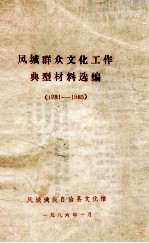 <em>凤城</em>群众文化工作典型材料选编  1981-1985