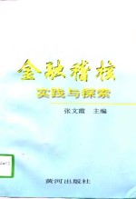 金融稽核实践与探索
