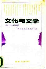 文化与文学：世纪之交的凝望  两位博士候选人的对话