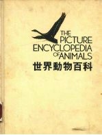 <em>世界</em>动物百科  鸟  <em>1</em>