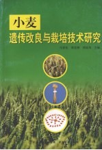 小麦遗传改良<em>与</em><em>栽培</em><em>技术</em>研究