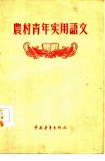 农村<em>青年</em>实用语文