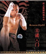 无敌泰拳<em>格斗</em>术  打遍天下五百年无敌手
