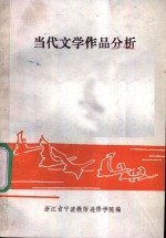 当代文学作品分析