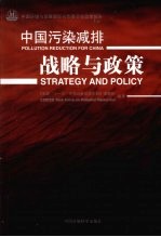 中国污染减排  战略与政策