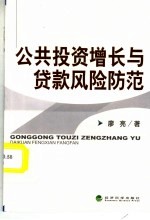 公共<em>投资</em>增长与贷款<em>风险</em>防范