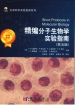 精编分子生物学实验指南  第5版