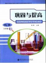 巩固与提高  化学  九年级  上