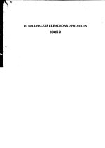 30 SOLDERLESS BREADBOARD PROJECTS  <em>BOOK</em> <em>2</em>