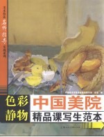 色彩静物  中国美院精品课写生范本