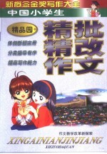 新概念金奖写作大全  小学本  精批精改精品屋