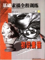 基础素描全程训练  入门篇  上，初识素描