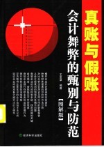 真账与假账  会计舞弊的甄别与防范  图解<em>版</em>