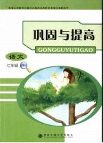 巩固与提高  语文  七年级  下