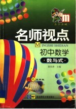 名师视点  初中数学  数与式