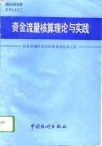 <em>资金</em><em>流量</em>核算理论与实践