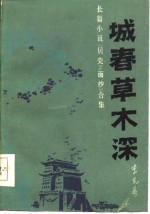 长篇小说《贝壳》《面纱》合集  城春草木深