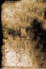 <em>TOEFL</em>听力测试  倾向与对策