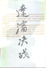 辽沈决战  续集