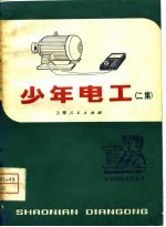 少年<em>电工</em>  二集