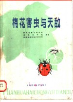 棉花害虫与天敌