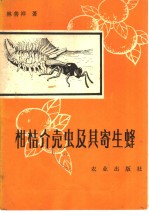 柑桔介壳虫及其寄生蜂