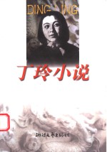 <em>丁玲</em>小说