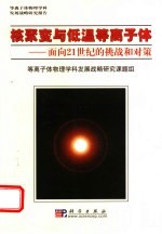 核聚变与低温等离子体  面向21世纪的挑战和对策