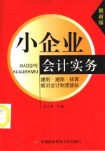 小企业会计实务  建制·建账·核算·新旧会计制度接轨  最新版