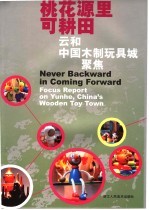 桃花源里可耕田：云和中国木制玩具城聚焦