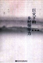 巨灾下的乡村领导力