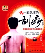 一看就懂的刮痧书  居家极简刮痧疗法实用<em>手册</em>  全彩版