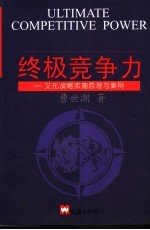 终极竞争力  文化战略实施原理与案例