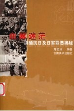 血雾迷茫  滇缅抗日及日军罪恶揭秘