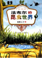 <em>法</em>布尔的昆虫世界  3  情歌王子蝉