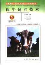 <em>肉牛</em>饲养<em>技术</em>