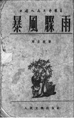 暴风骤雨  上