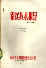 铝镁技术指导  光卤石脱水  第2集