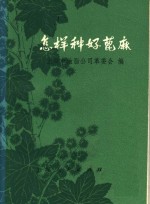 怎样种好蓖麻