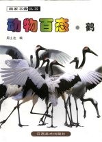 动物百态  鹤