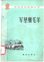 军垦细毛羊