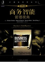 商务智能  管理视角  原书第2版