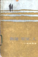 海滩·星星·人  小说<em>新秀</em>谱